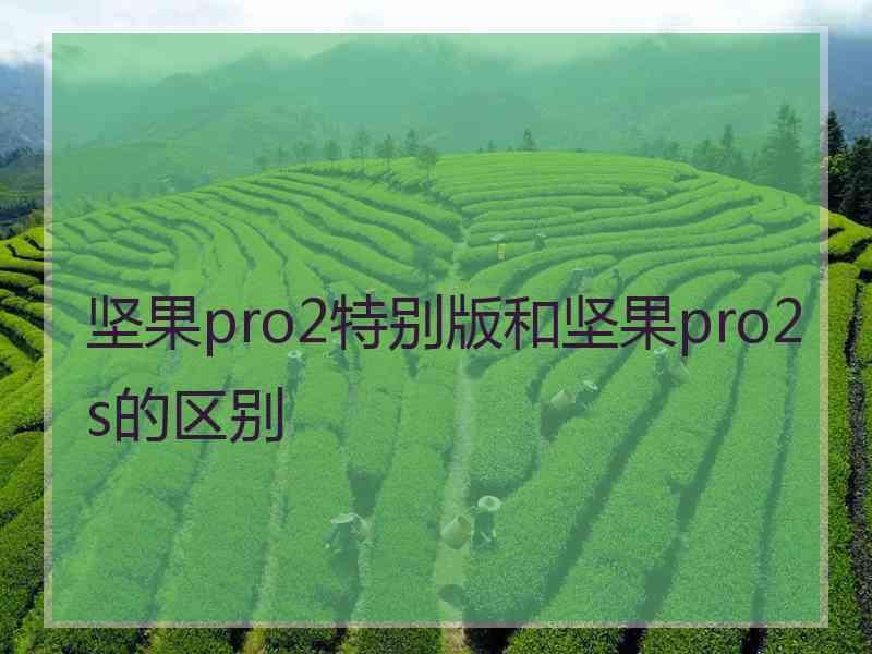 坚果pro2特别版和坚果pro2s的区别