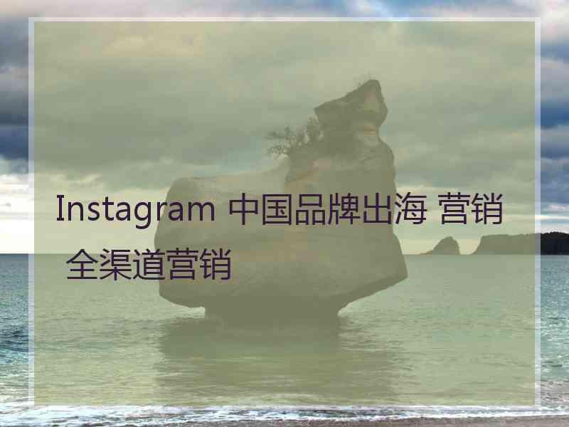 Instagram 中国品牌出海 营销 全渠道营销