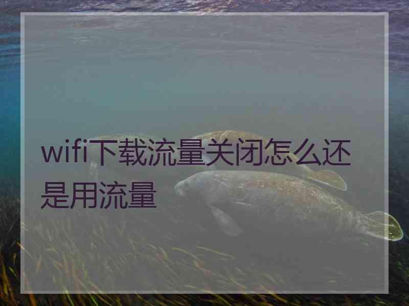 wifi下载流量关闭怎么还是用流量