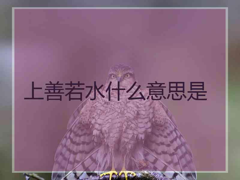 上善若水什么意思是