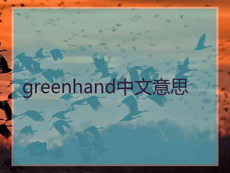 greenhand中文意思