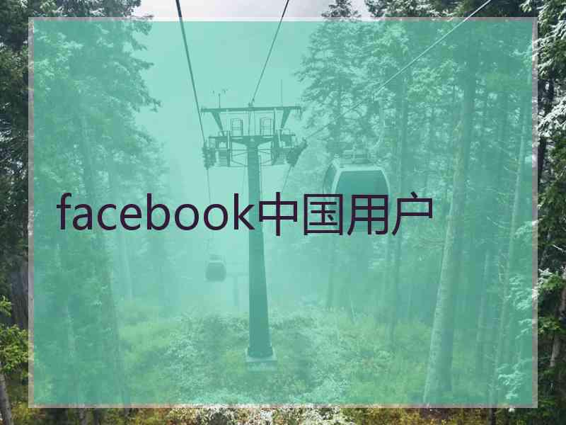 facebook中国用户