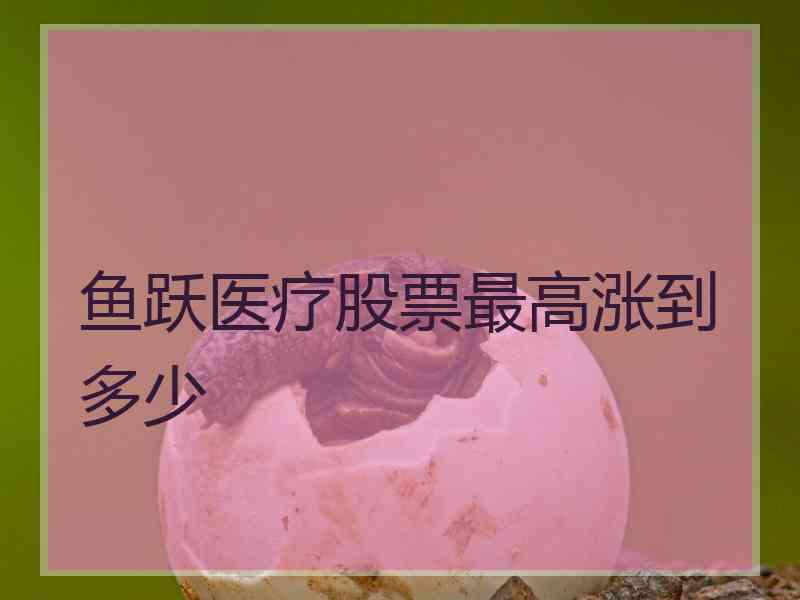 鱼跃医疗股票最高涨到多少