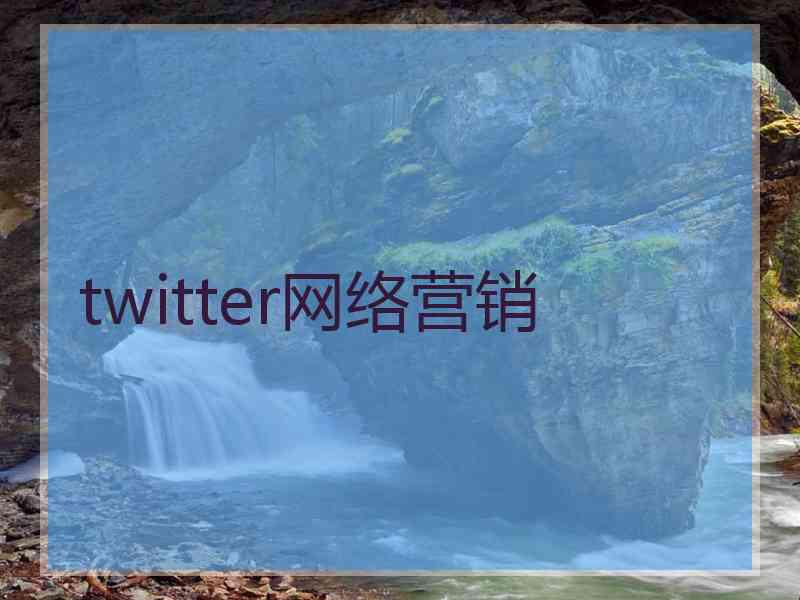 twitter网络营销