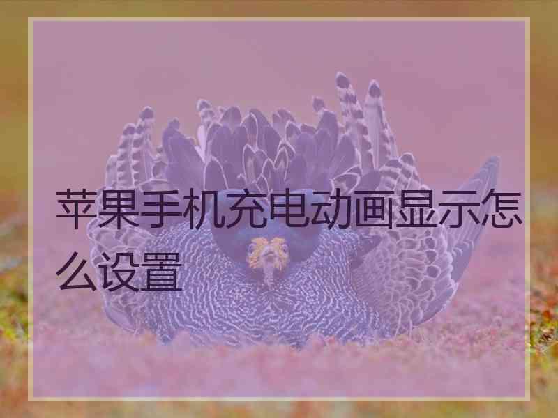 苹果手机充电动画显示怎么设置