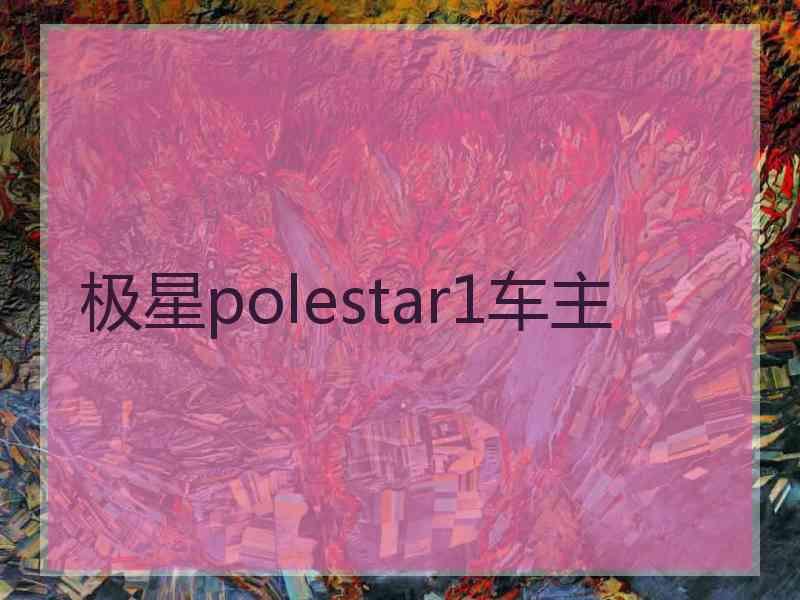 极星polestar1车主