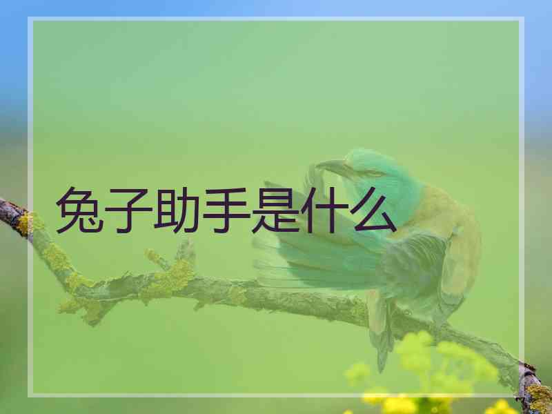 兔子助手是什么