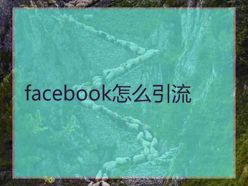 facebook怎么引流