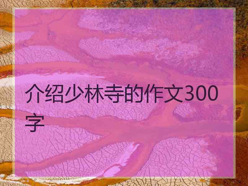 介绍少林寺的作文300字