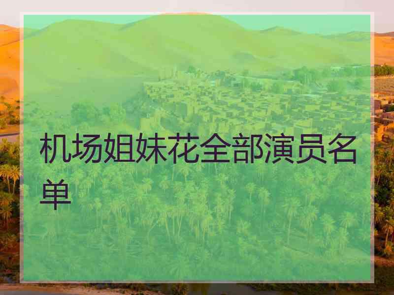 机场姐妹花全部演员名单