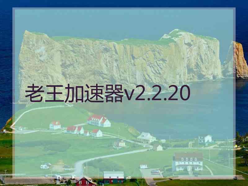 老王加速器v2.2.20