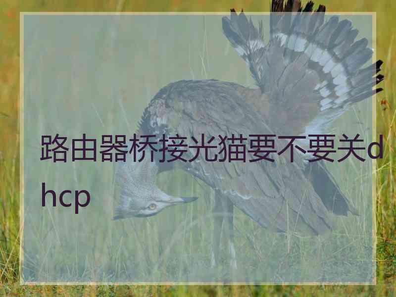 路由器桥接光猫要不要关dhcp