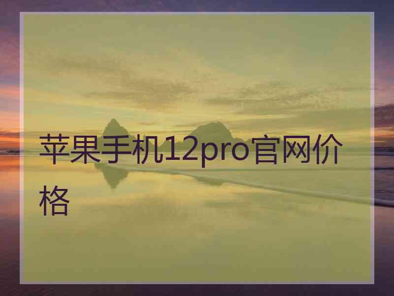 苹果手机12pro官网价格