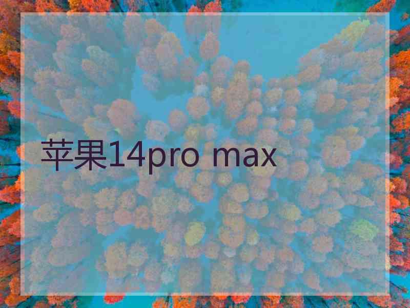 苹果14pro max