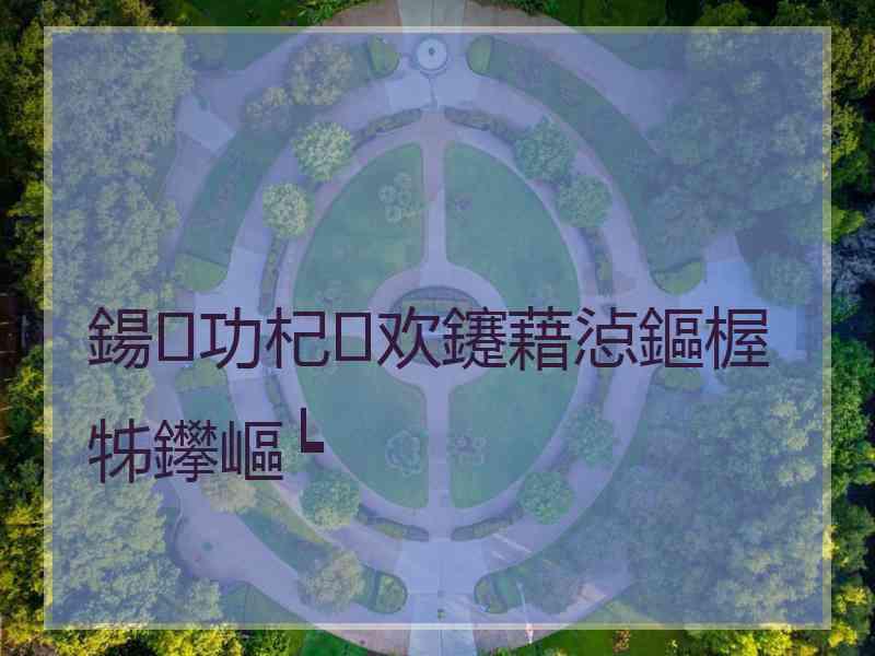 鍚功杞欢鑳藉惉鏂楃牬鑻嶇┕