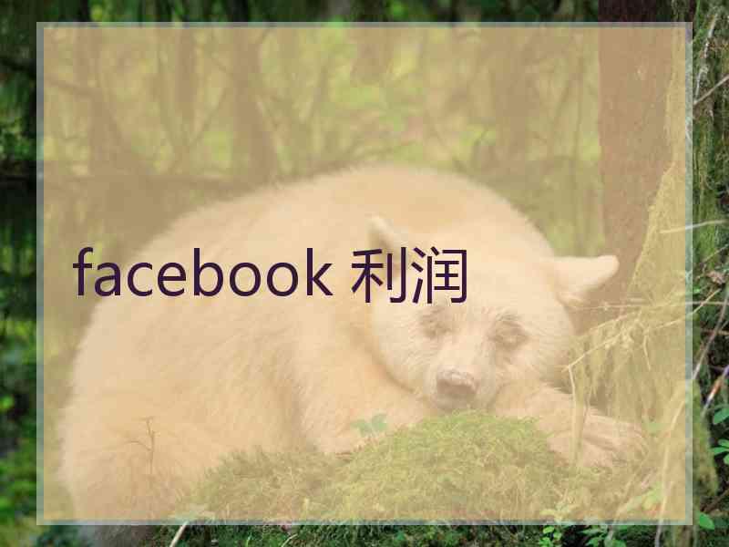 facebook 利润