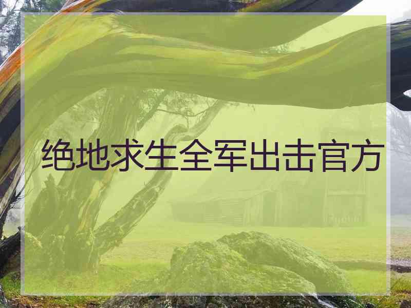 绝地求生全军出击官方