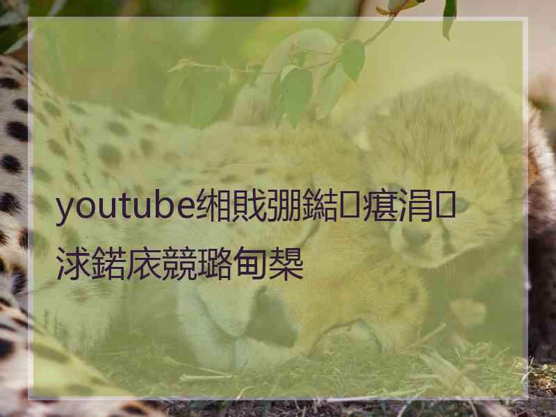 youtube缃戝弸鐑瘎涓浗鍩庡競璐甸槼