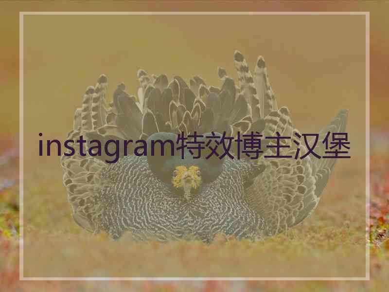 instagram特效博主汉堡