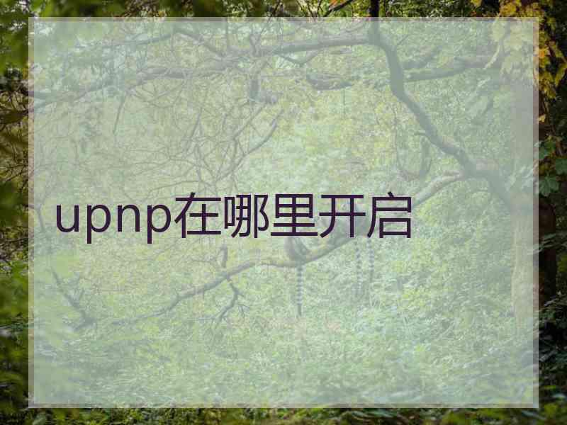 upnp在哪里开启