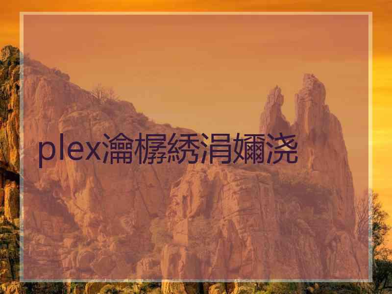 plex瀹樼綉涓嬭浇