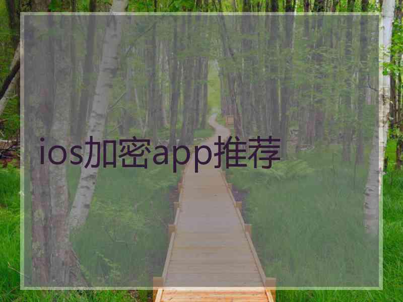 ios加密app推荐