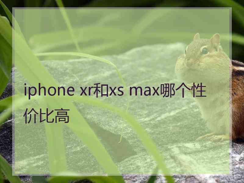 iphone xr和xs max哪个性价比高