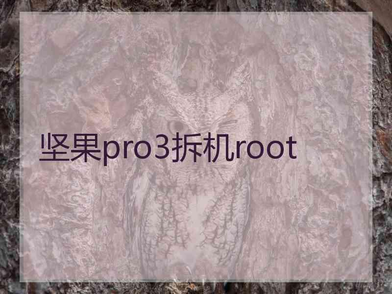 坚果pro3拆机root