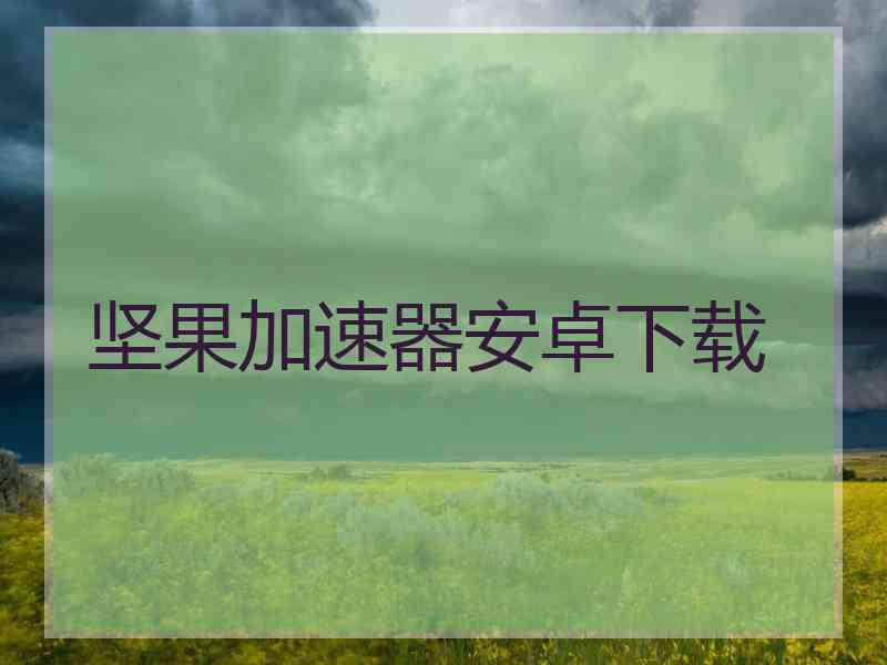 坚果加速器安卓下载