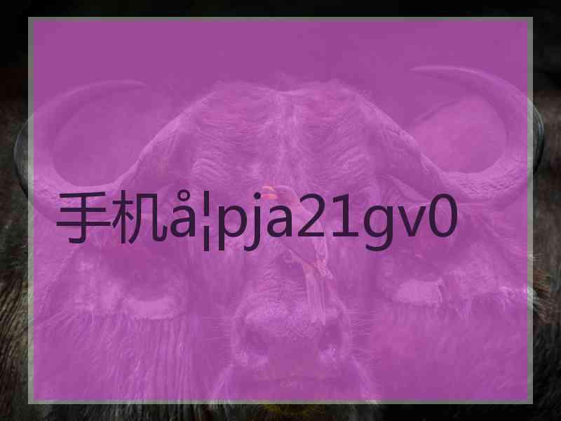 手机pja21gv0