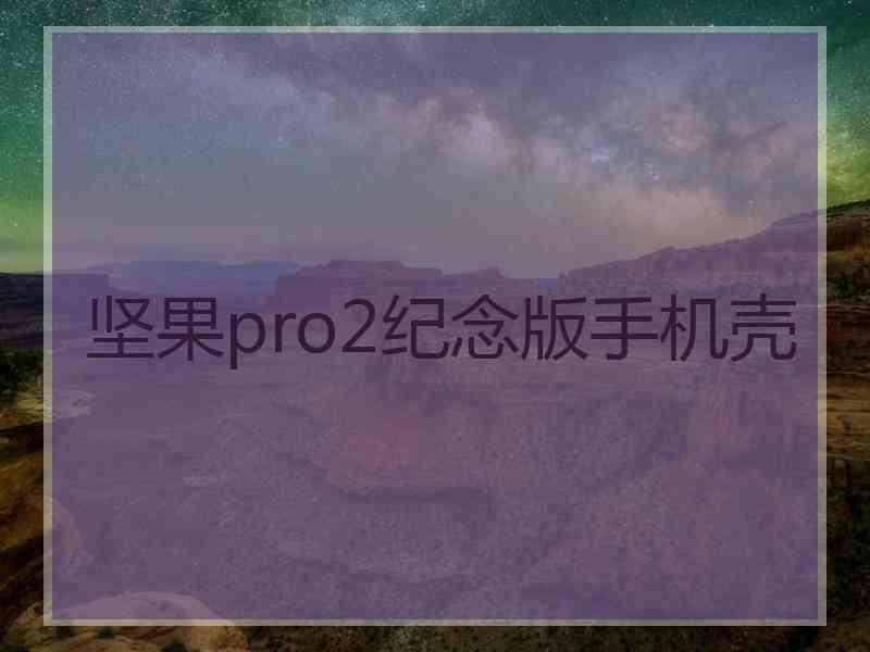 坚果pro2纪念版手机壳