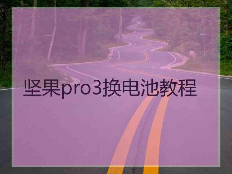 坚果pro3换电池教程