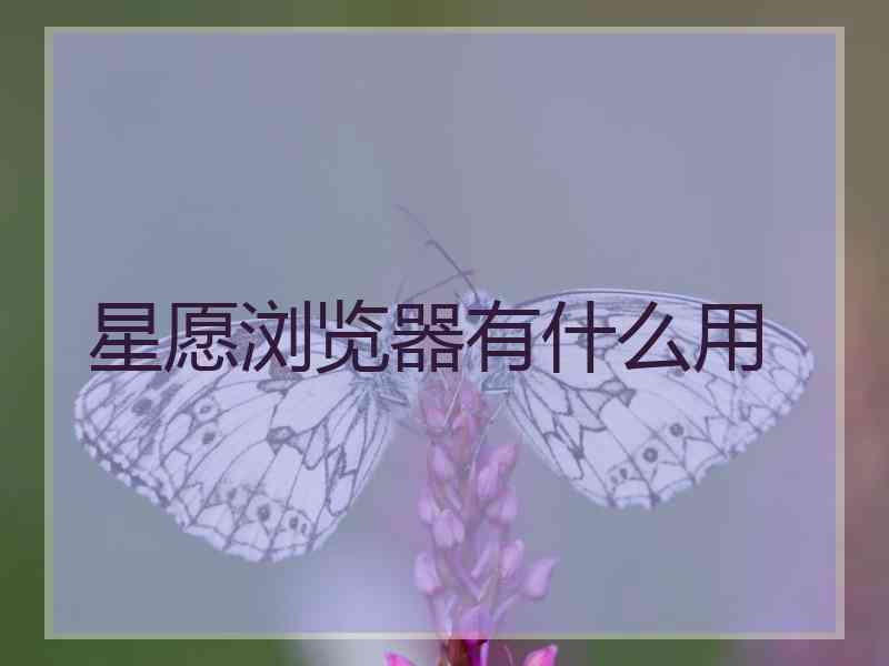 星愿浏览器有什么用