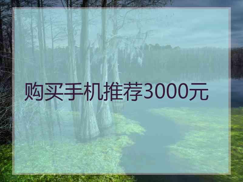 购买手机推荐3000元