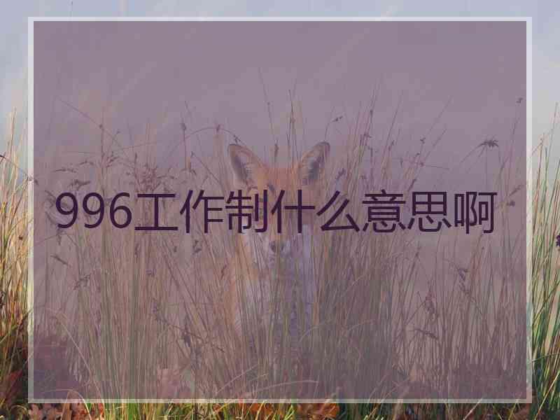 996工作制什么意思啊