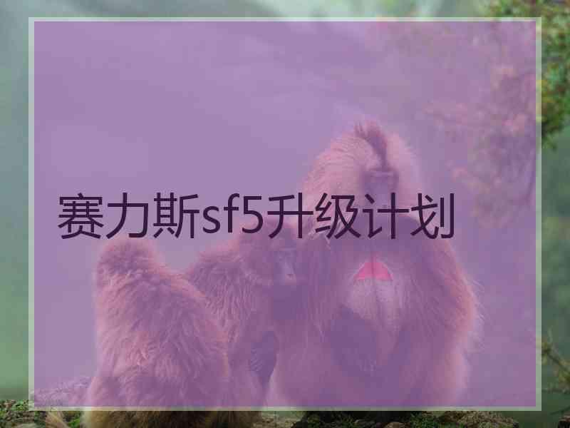 赛力斯sf5升级计划