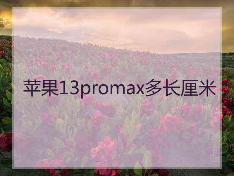 苹果13promax多长厘米