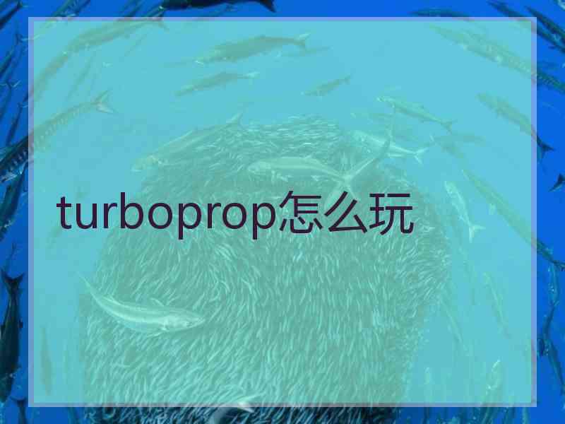 turboprop怎么玩