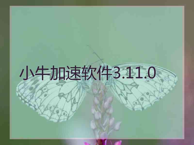 小牛加速软件3.11.0