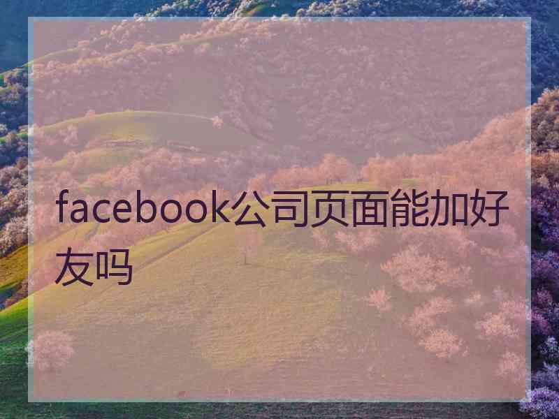 facebook公司页面能加好友吗