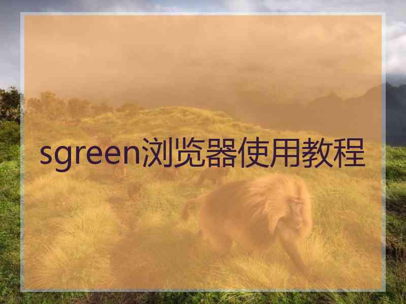 sgreen浏览器使用教程