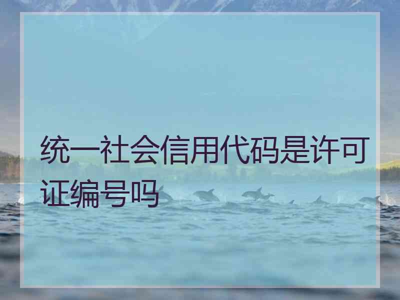 统一社会信用代码是许可证编号吗