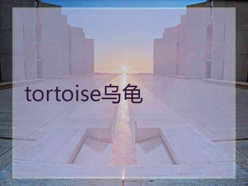 tortoise乌龟