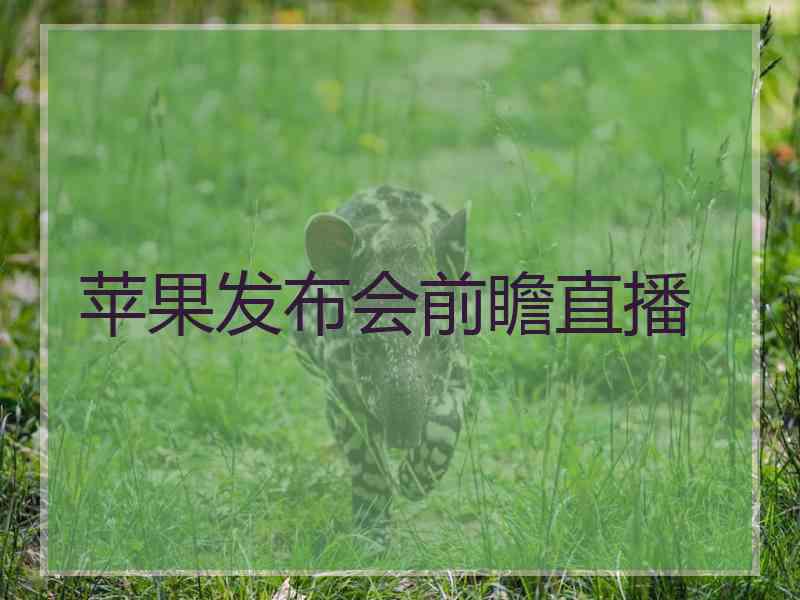 苹果发布会前瞻直播