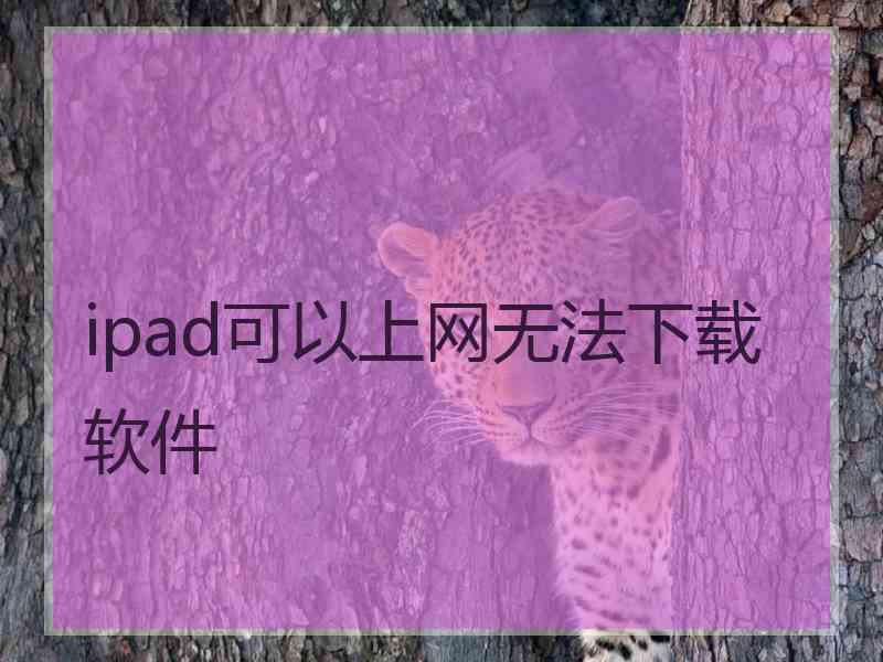 ipad可以上网无法下载软件