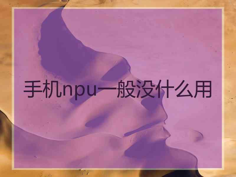 手机npu一般没什么用