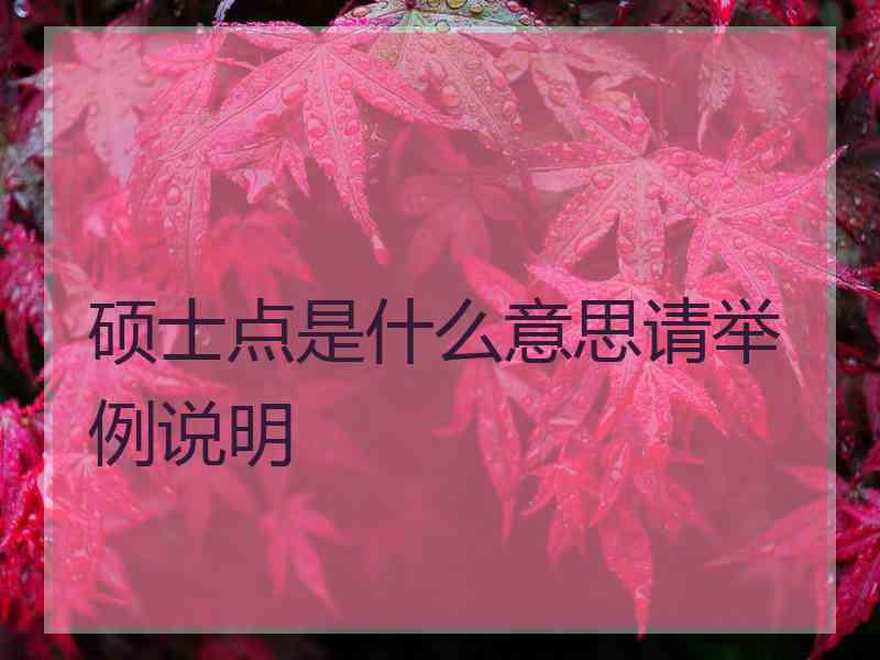 硕士点是什么意思请举例说明