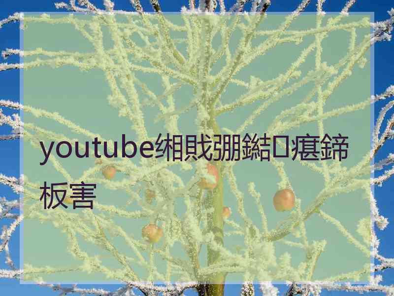 youtube缃戝弸鐑瘎鍗板害