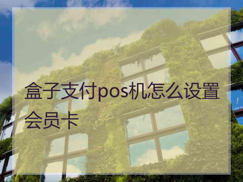 盒子支付pos机怎么设置会员卡