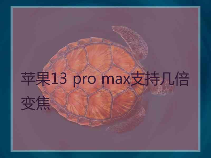 苹果13 pro max支持几倍变焦